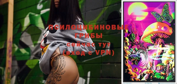 прущий лед Вязники