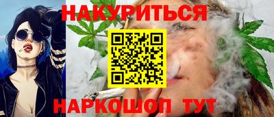 стафф Гай