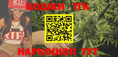стафф Гай