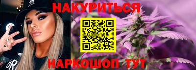 стафф Гай
