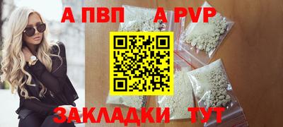 стафф Гай