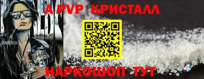 стафф Гай