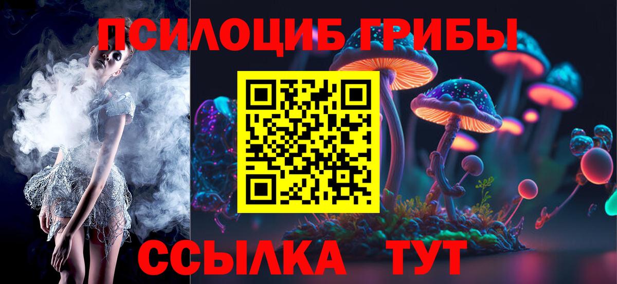 Дедовск  Псилоцибиновые грибы MAGIC MUSHROOMS  Вход с VPN 