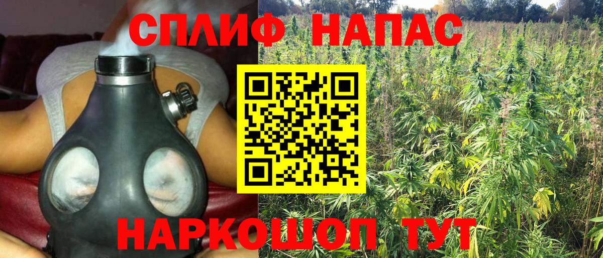 Бошки марихуана конопля  Конопля White Widow  Дедовск  Вход с VPN 